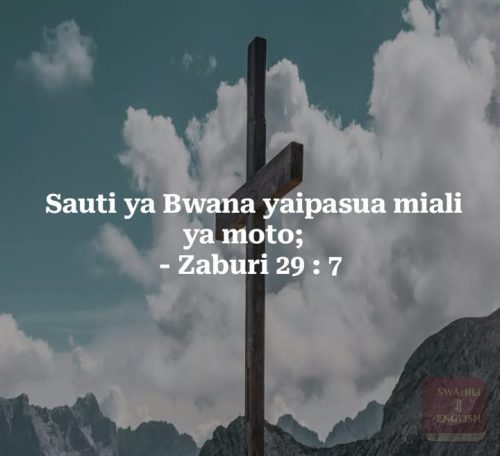 Pink Lip Brightening Cream – Soft, Hydrated & Glowing Lips photo review